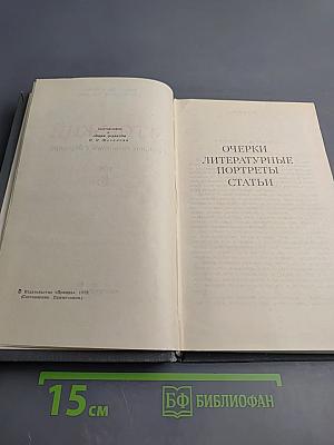 Очерки. Литературные портреты. Статьи