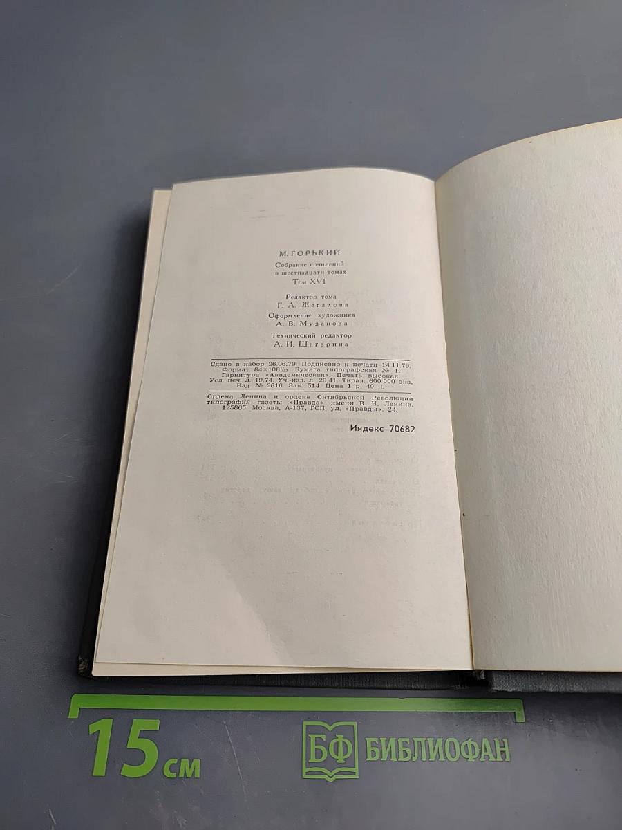 Очерки. Литературные портреты. Статьи