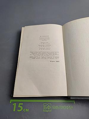 Очерки. Литературные портреты. Статьи