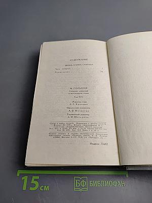 Собрание сочинений в 16 томах. Том 14. Жизнь Клима Самгина (Сорок лет)