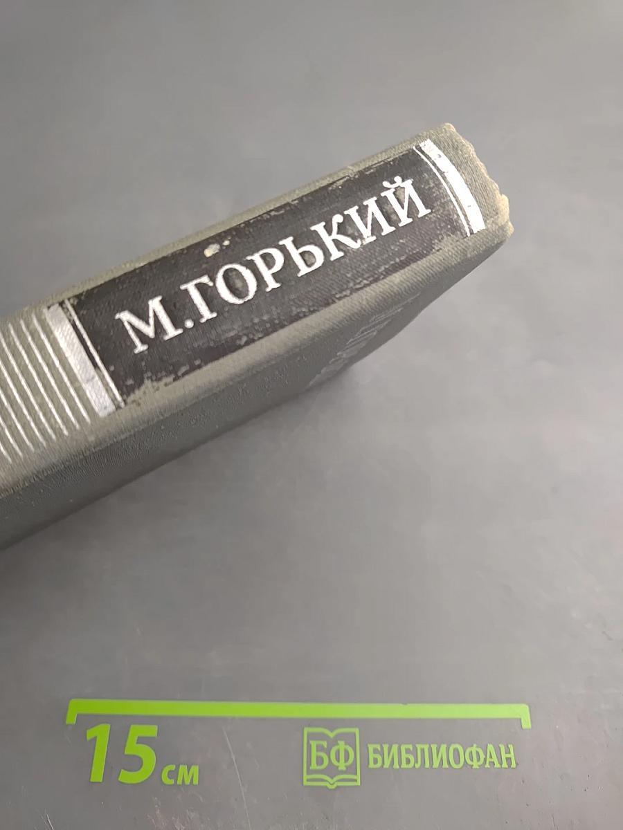 Собрание сочинений в 16 томах. Том 14. Жизнь Клима Самгина (Сорок лет)