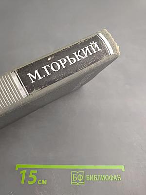 Собрание сочинений в 16 томах. Том 14. Жизнь Клима Самгина (Сорок лет)