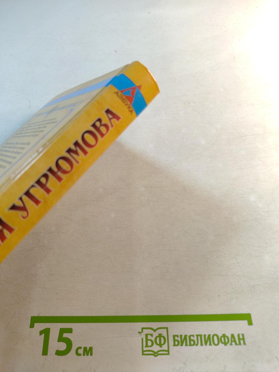 Двойник для шута