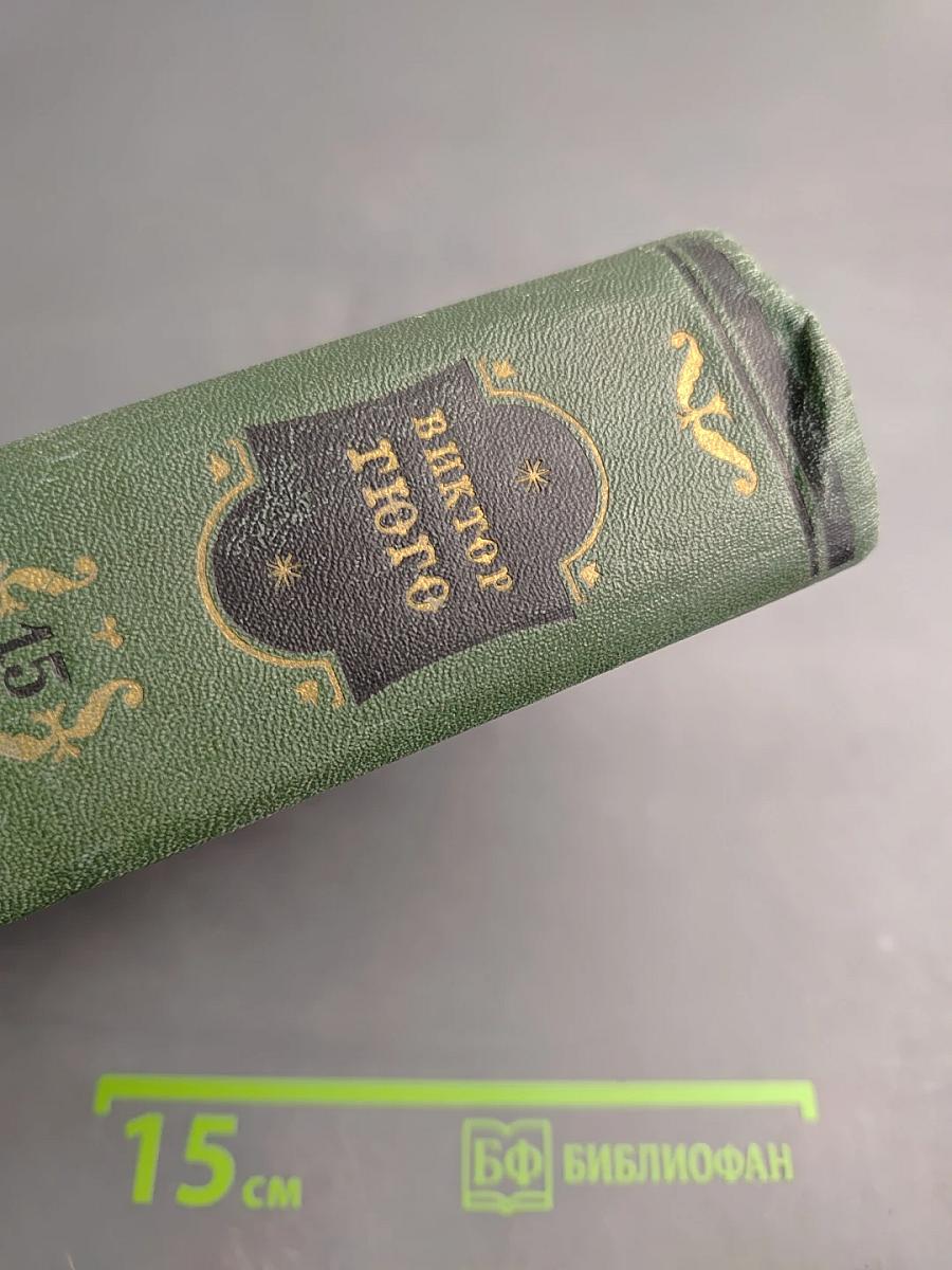 Виктор Гюго. Собрание сочинений. Том пятнадцатый: Дела и речи