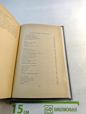 Избранные произведения в двух томах. Том первый. Стихотворения. Мое открытие Америки