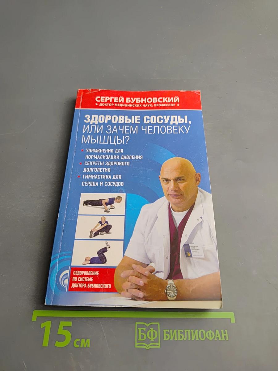 Здоровые сосуды, или Зачем человеку мышцы?