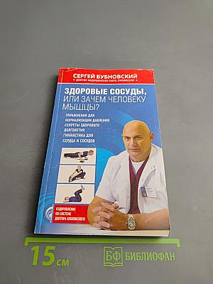 Здоровые сосуды, или Зачем человеку мышцы?