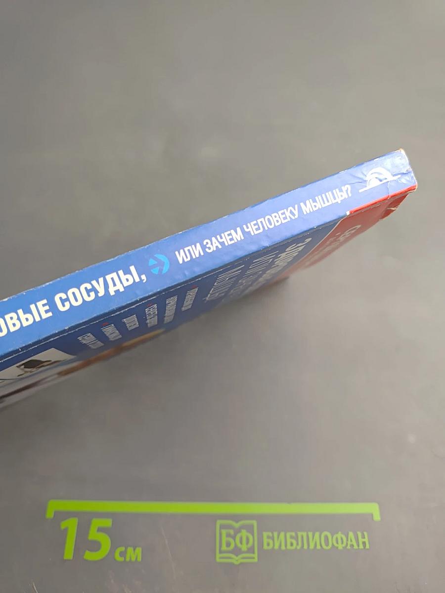 Здоровые сосуды, или Зачем человеку мышцы?