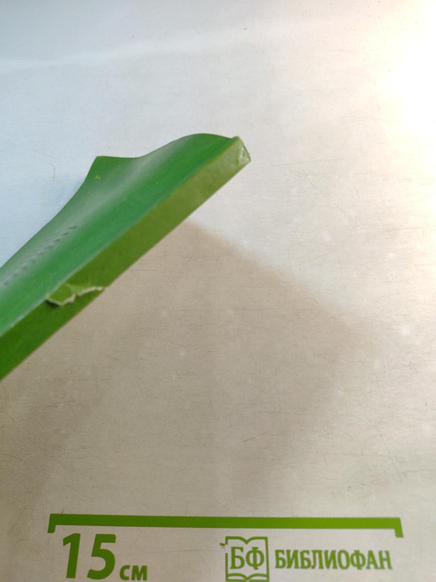 Основы подготовки регбистов