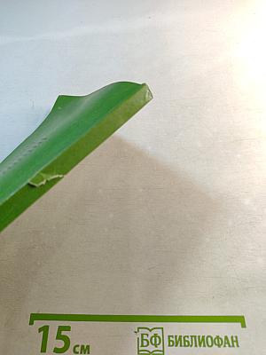 Основы подготовки регбистов