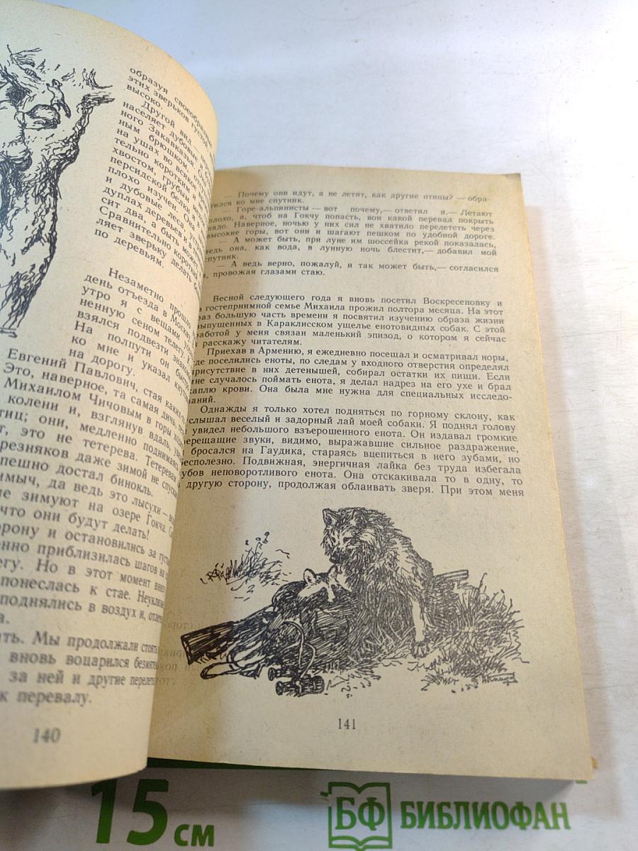 Встречи с животными