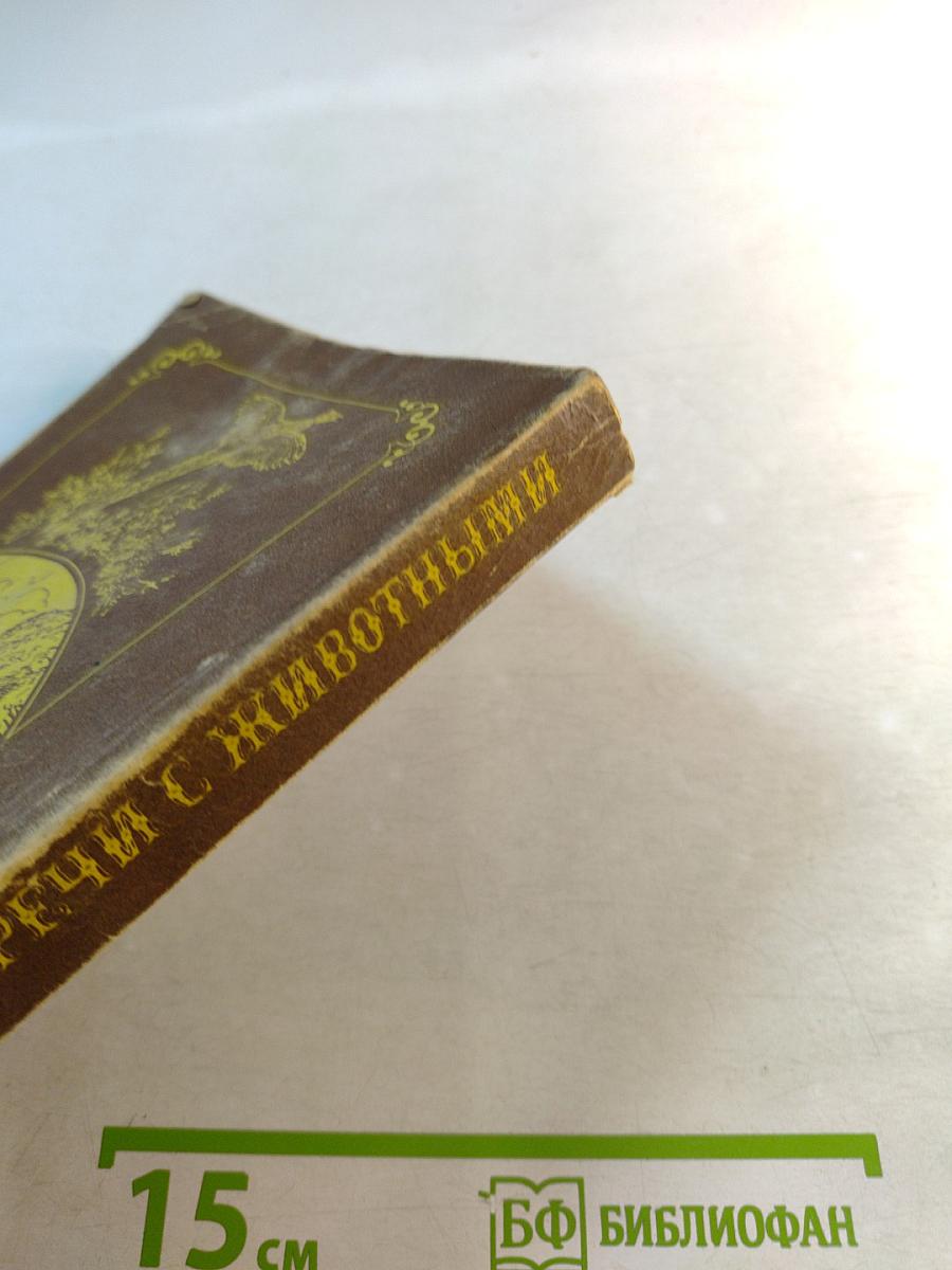 Встречи с животными