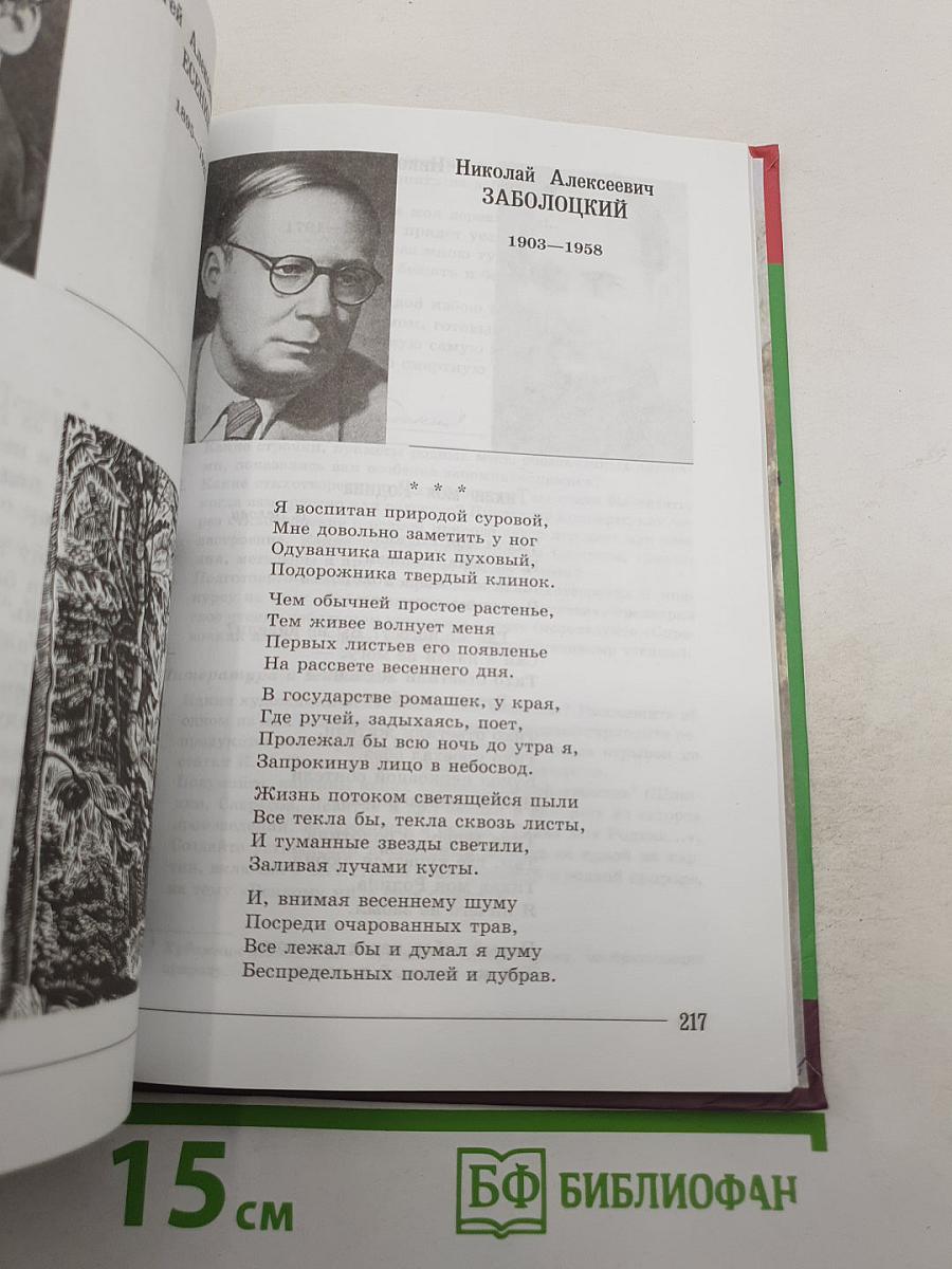Литература. 7 класс. Учебник. Часть 2