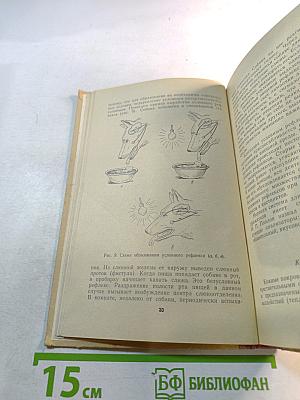 Нервные и психические болезни