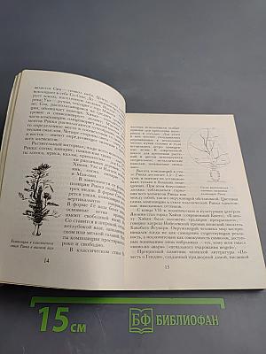 Аранжировка цветов