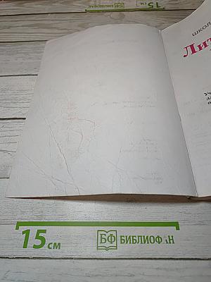 Литературное чтение. Часть 2