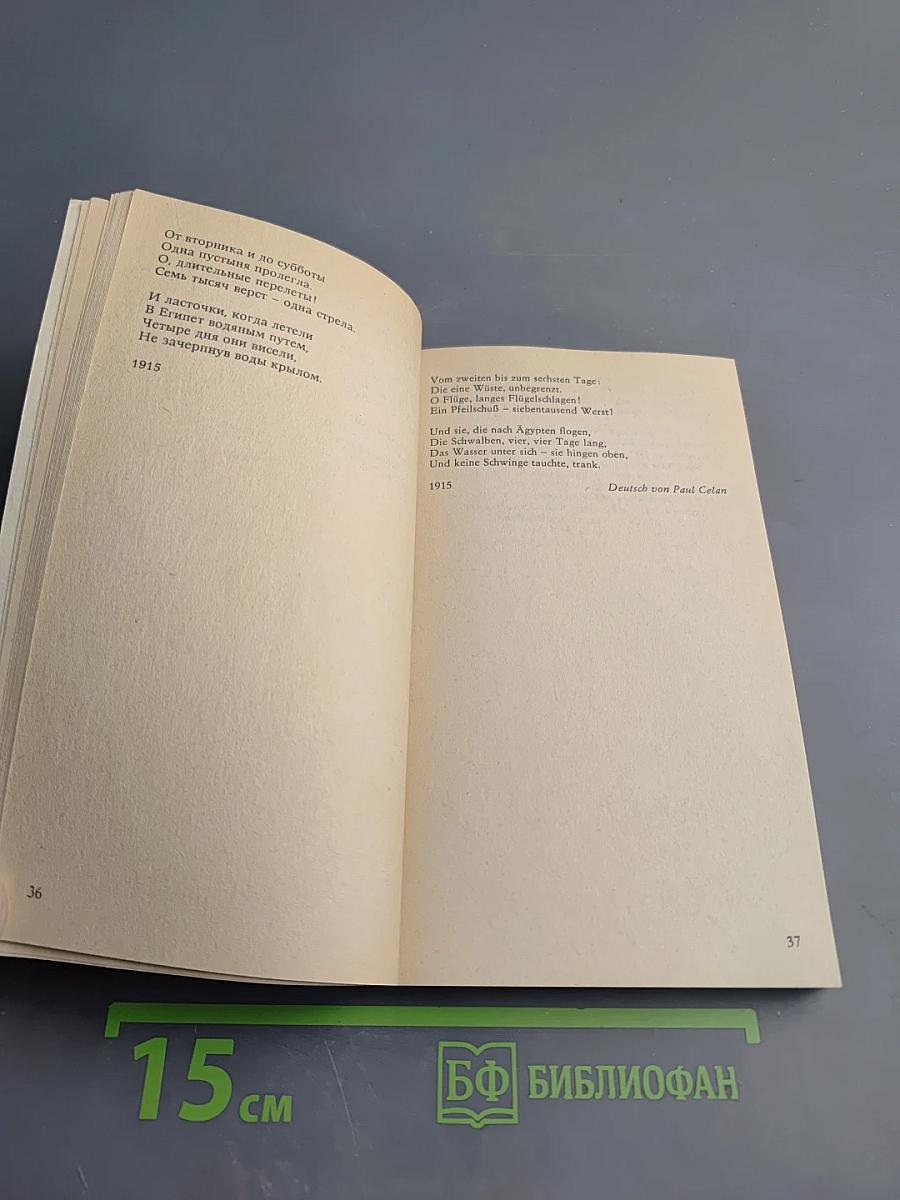 Hufeisenfinder. Избранные стихи. Русско-немецкое издание