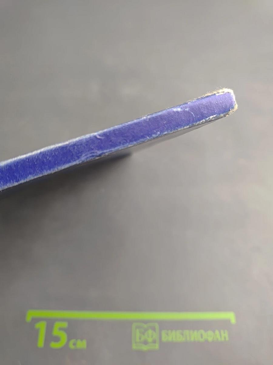 Жизнь и чудеса преподобного и богоносного отца нашего Сергия Радонежского и всея России чудотворца