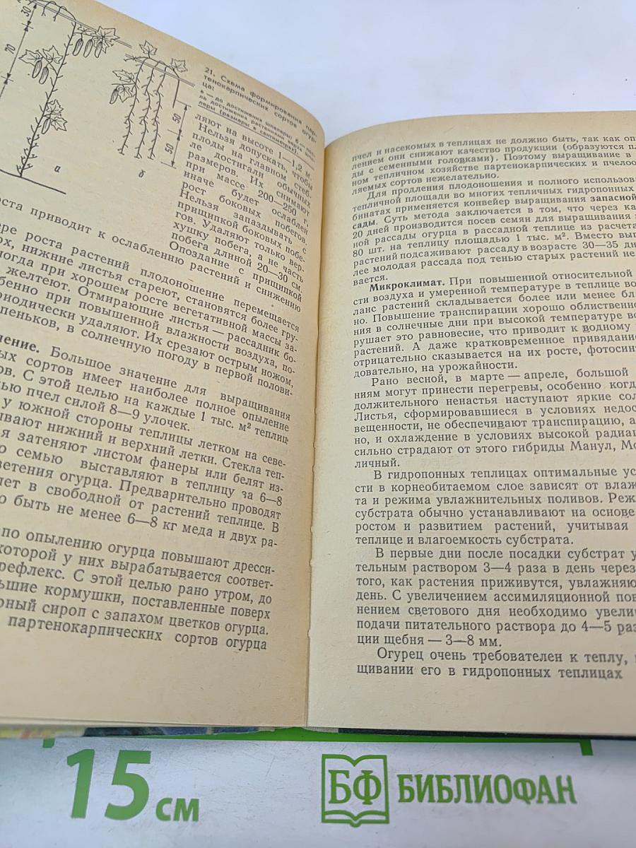 Выращивание овощей в гидропонных теплицах