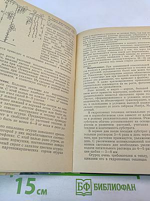 Выращивание овощей в гидропонных теплицах