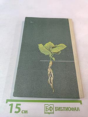 Выращивание овощей в гидропонных теплицах