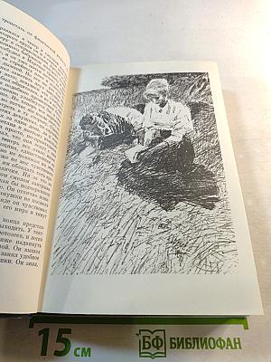 Мартин Иден. Рассказы