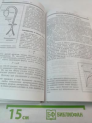 Не только о физике яйца