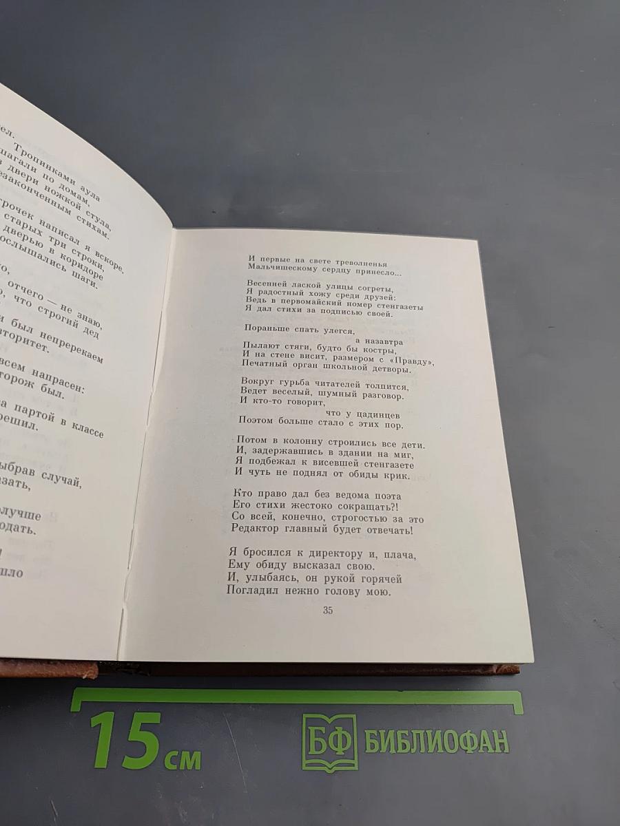 Стихотворения Расула Гамзатова