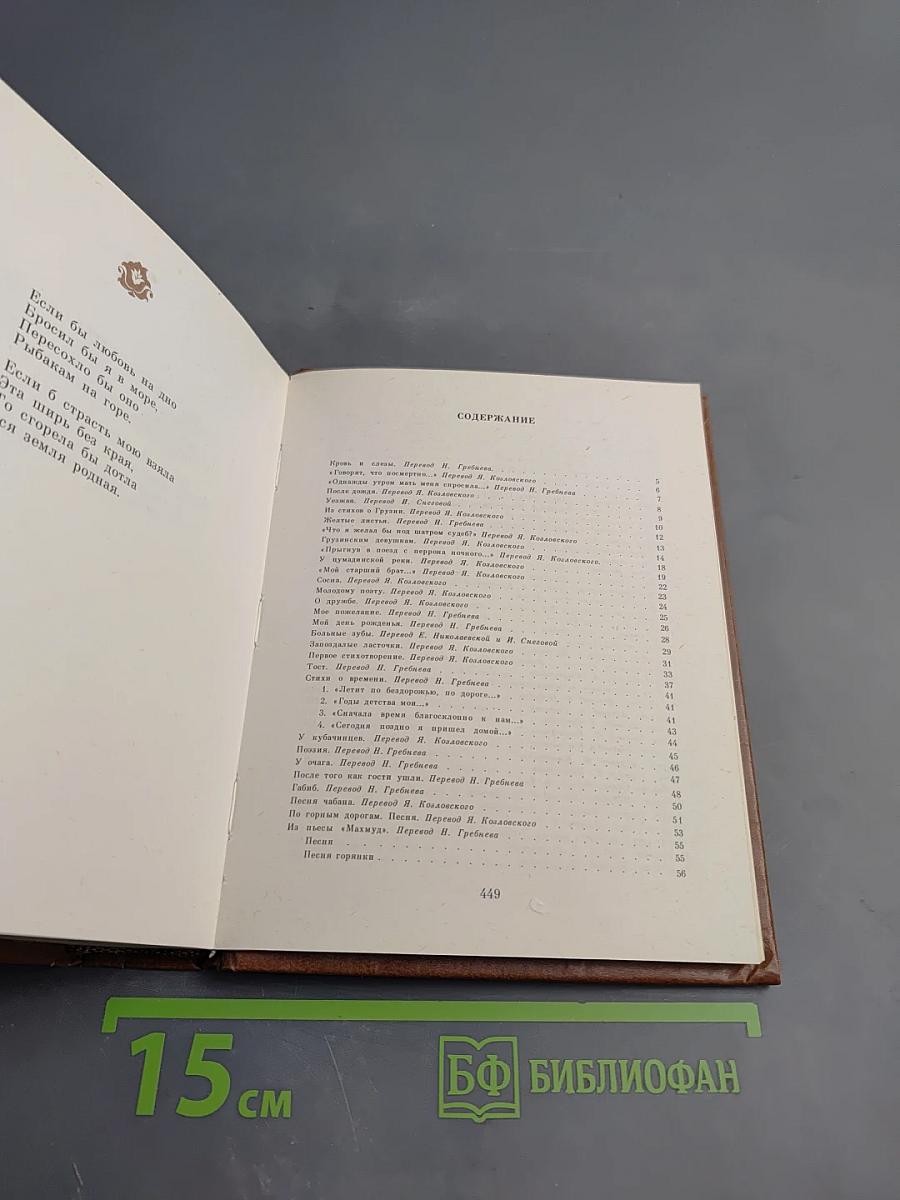 Стихотворения Расула Гамзатова