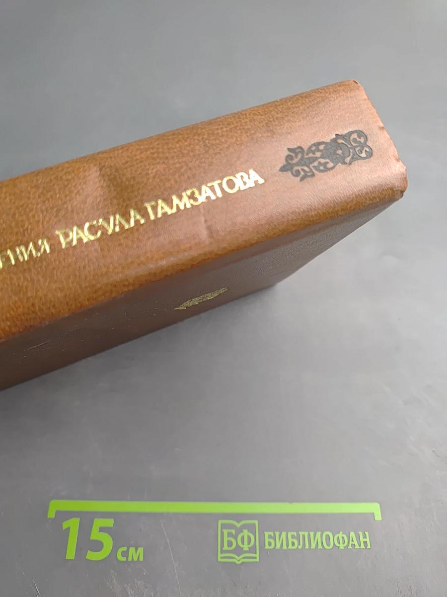 Стихотворения Расула Гамзатова