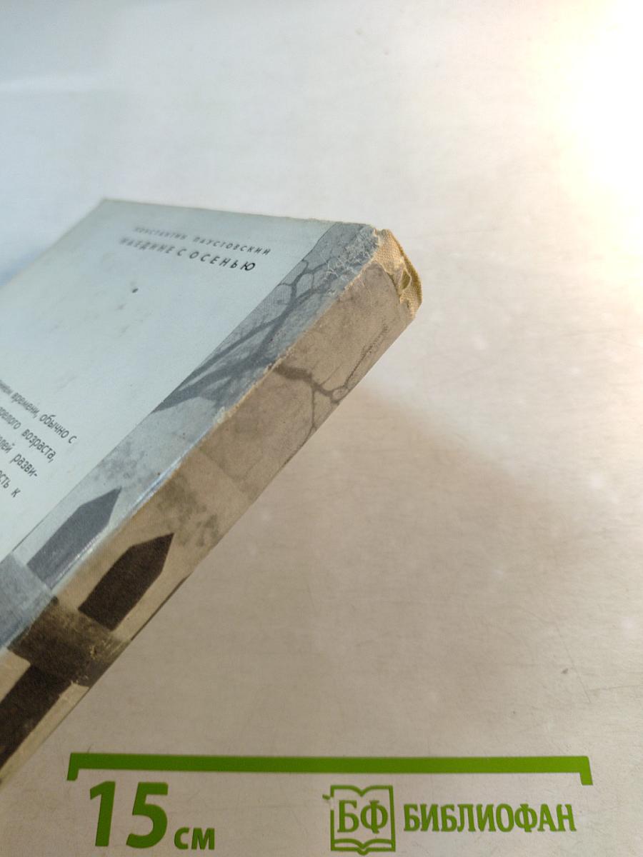 Наедине с осенью. Портреты, воспоминания, очерки