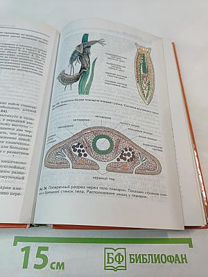 Биология. Животные. 7-8 класс