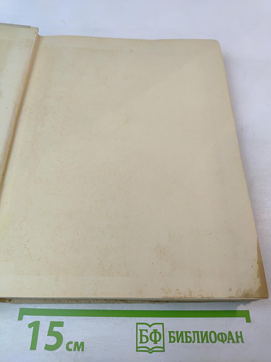 Европейская архитектура XX века