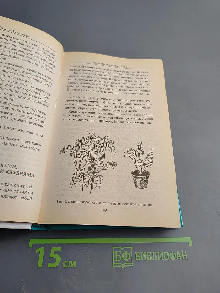 Комнатное цветоводство