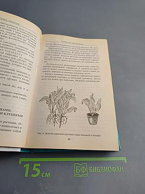 Комнатное цветоводство