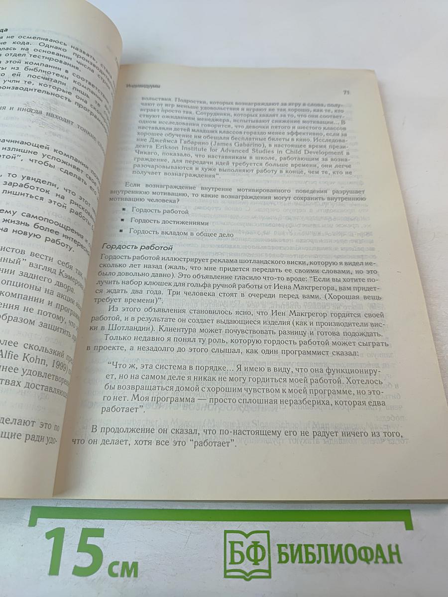 Быстрая разработка программного обеспечения