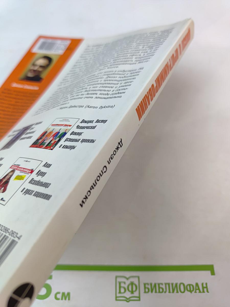 Джоэл о программировании