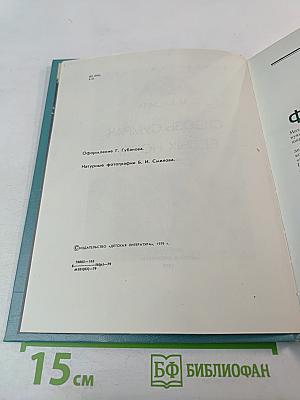 Сквозь сумрак белых ночей