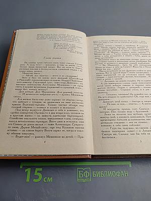 Слово и Дело. Роман-хроника времен Анны Иоанновны. Книга 1. Царица Престрашного Зраку