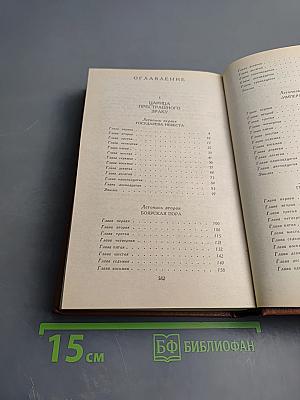 Слово и Дело. Роман-хроника времен Анны Иоанновны. Книга 1. Царица Престрашного Зраку
