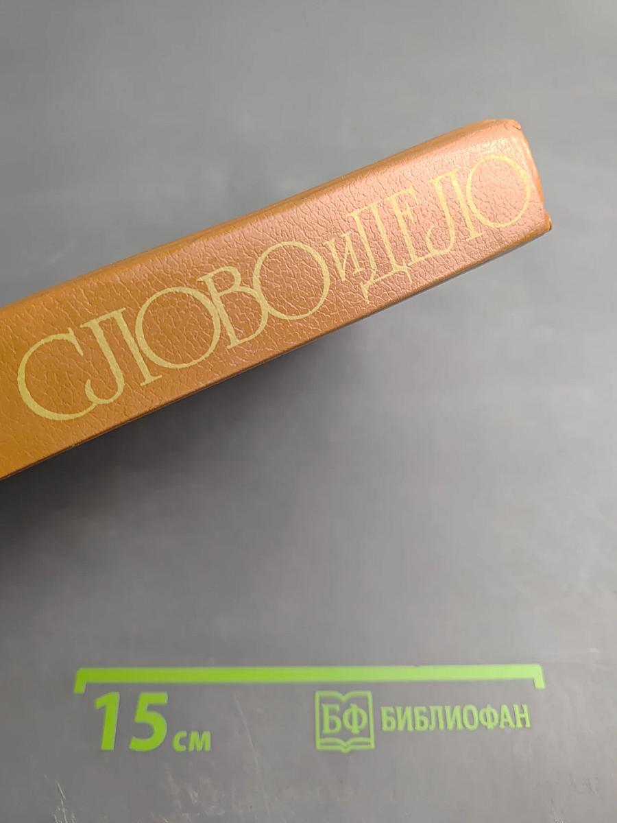 Слово и Дело. Роман-хроника времен Анны Иоанновны. Книга 1. Царица Престрашного Зраку