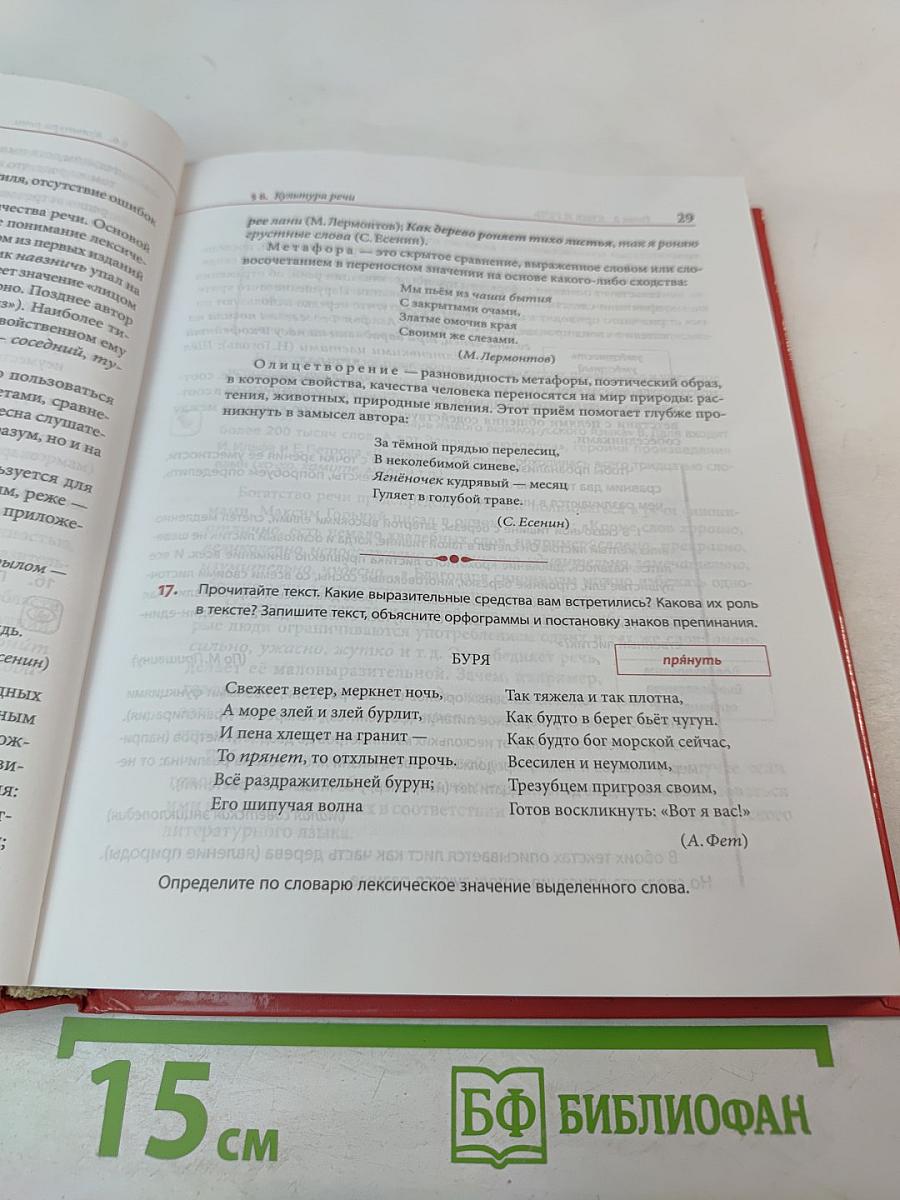 Русский язык 10 класс базовый уровень