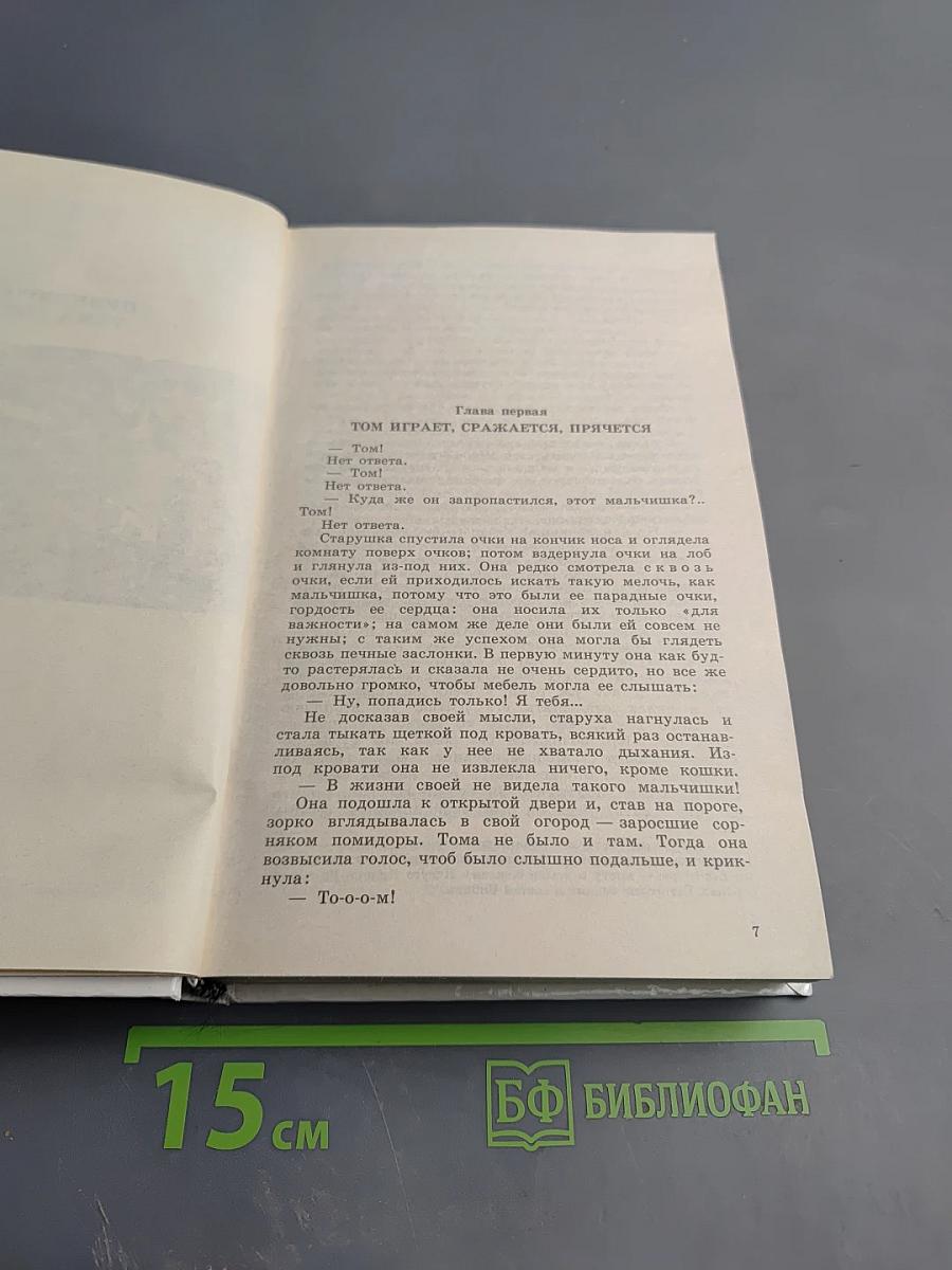 Приключения Тома Сойера и Гекльберри Финна