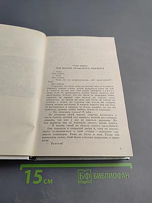 Приключения Тома Сойера и Гекльберри Финна