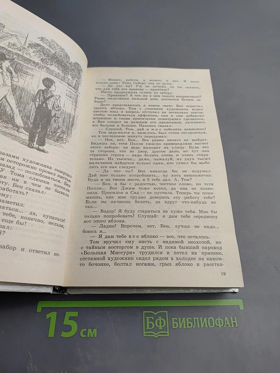 Приключения Тома Сойера и Гекльберри Финна