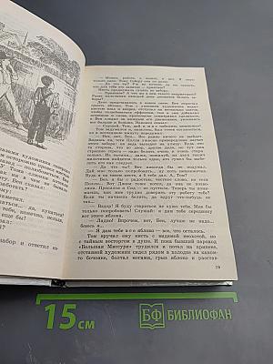 Приключения Тома Сойера и Гекльберри Финна