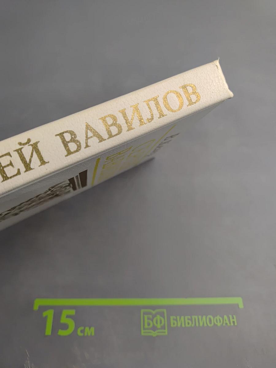 Сергей Вавилов