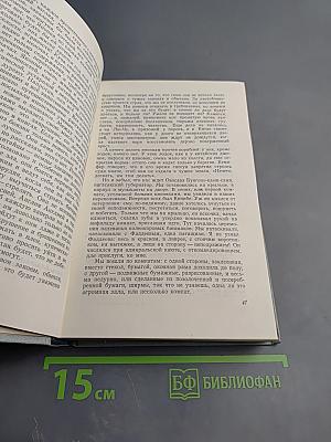 Фрегат «Паллада», Том II