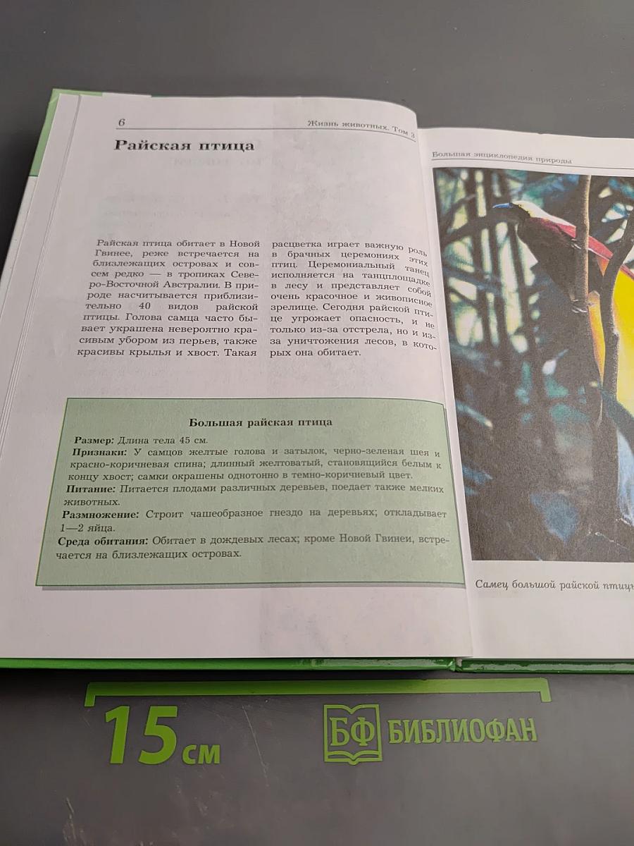 Большая энциклопедия природы. Жизнь животных. Том 3