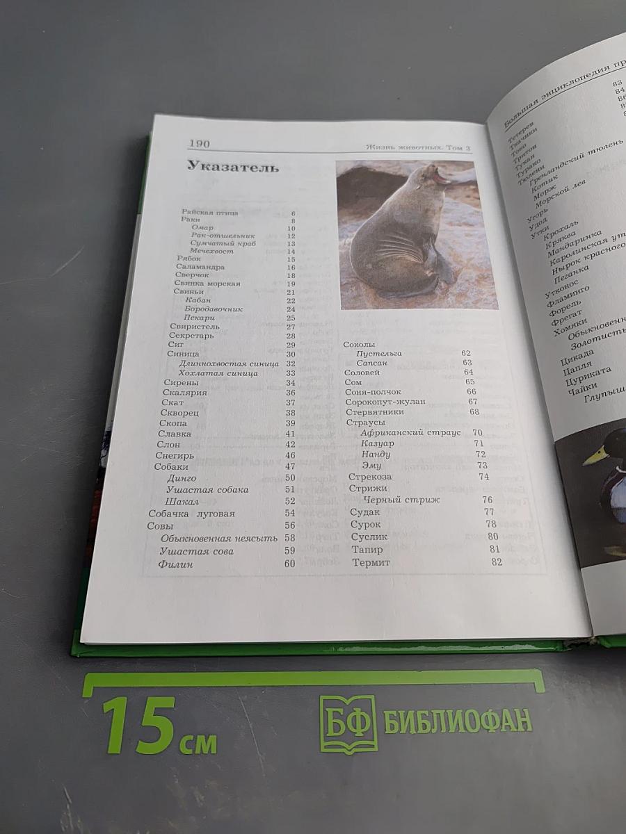 Большая энциклопедия природы. Жизнь животных. Том 3